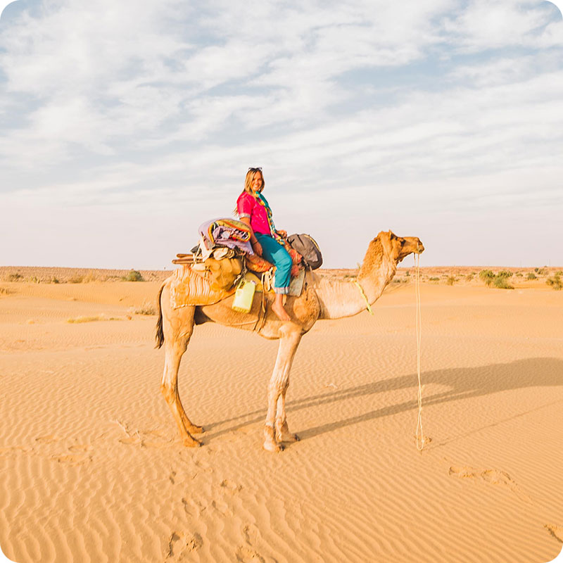 camel safari in jaisalmer price