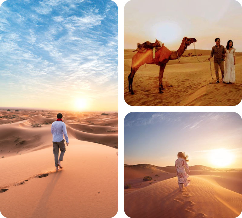 half-day-sunrise-camel-safari-trotters-jaisalmer
