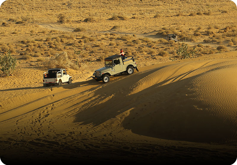 jeep-safari-jaisalmer-trotters-tours-mobile