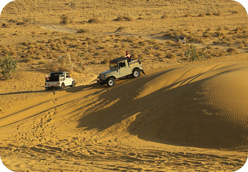 jeep-safari-jaisalmer-trotters-tours