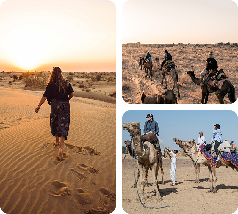 one-day-camel-safari-trotters-jaisalmer