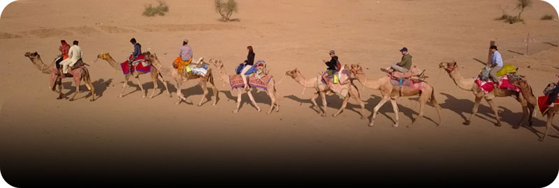 real-desert-camel-safari-jaisalmer-trotters-tours