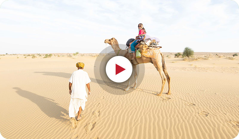 why-choose-trotters-camel-safari-in-jaisalmer