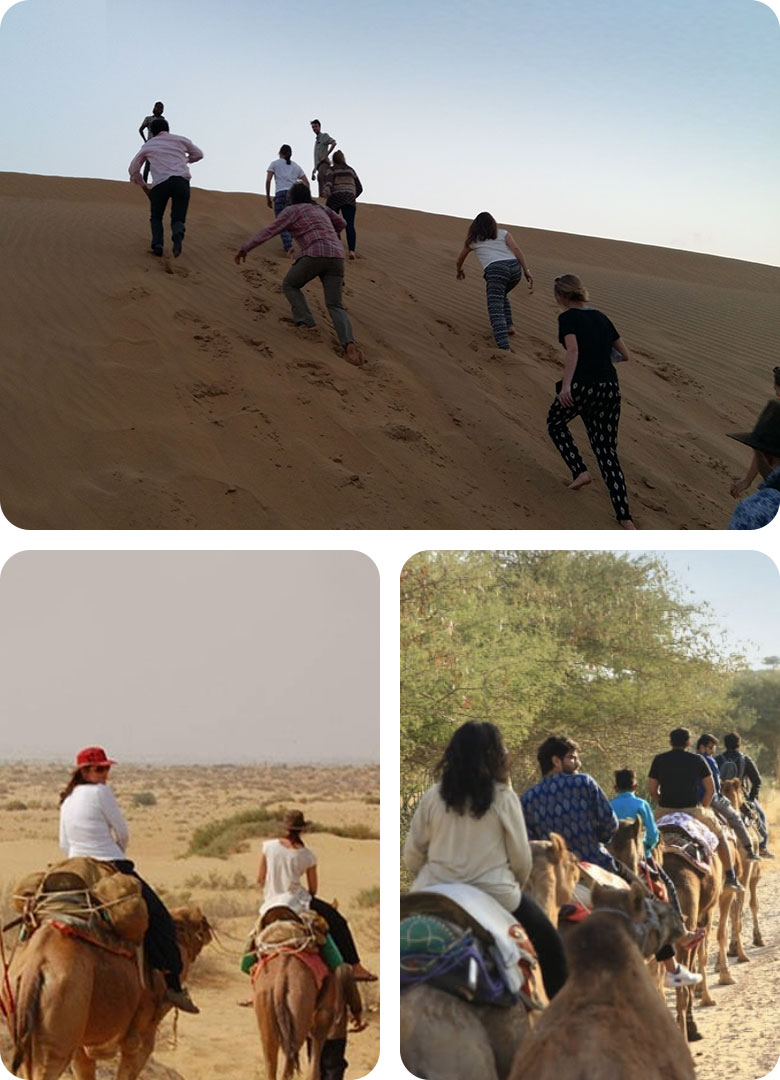 one-day-camel-safari-by-trotters-tours