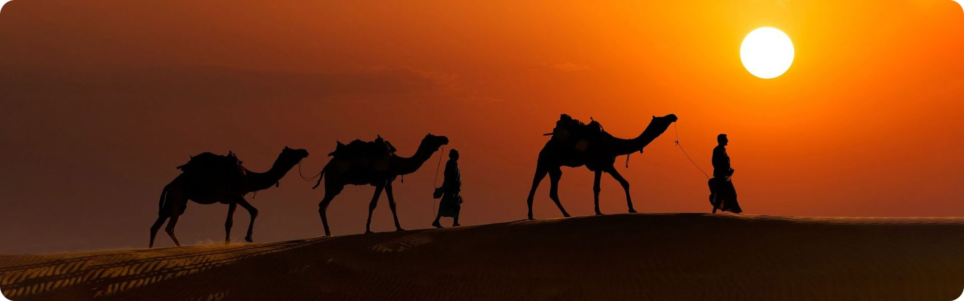error-404-trotters-camel-safari-jaisalmer