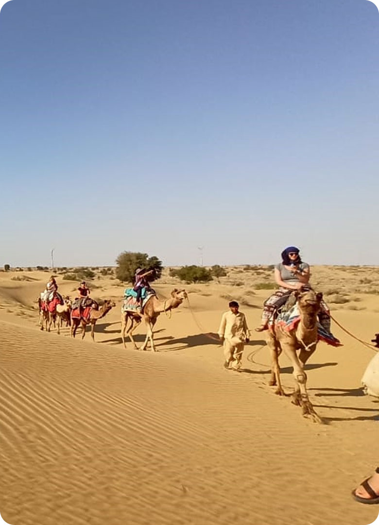 book-half-day-sunset-camel-safari-by-trotters-tours