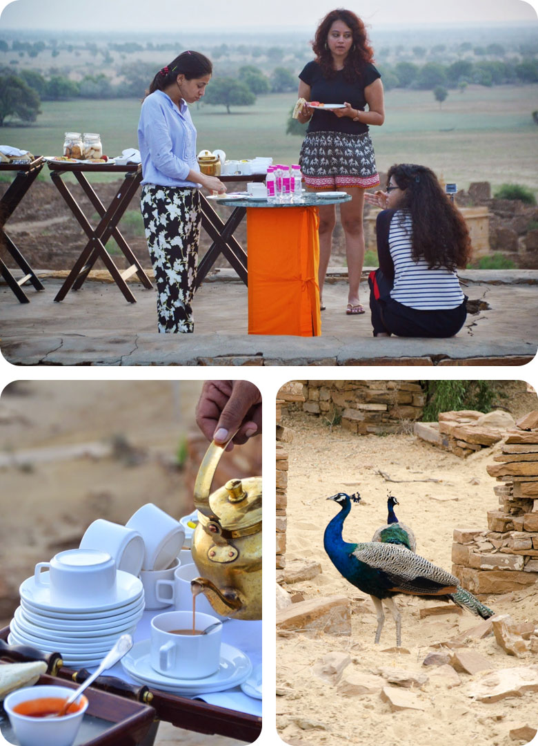breakfast-with-peacocks-in-jaisalmer-by-trotters-tours