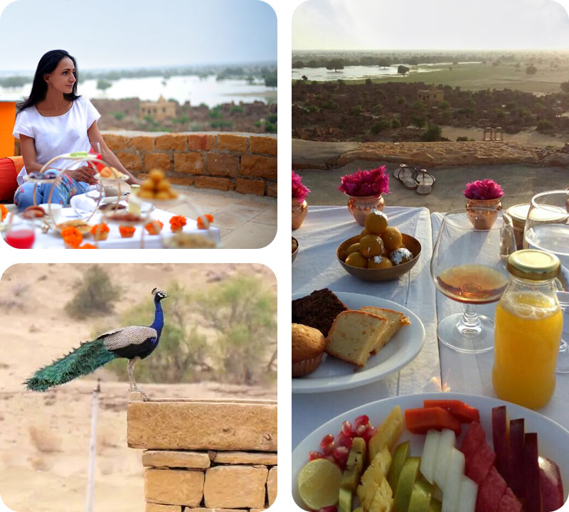 breakfast-with-peacocks-in-jaisalmer-with-trotters-tours