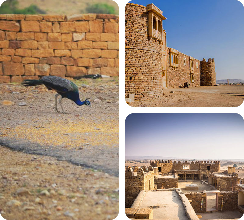 khaba-fort-in-jaisalmer-with-trotters-tours