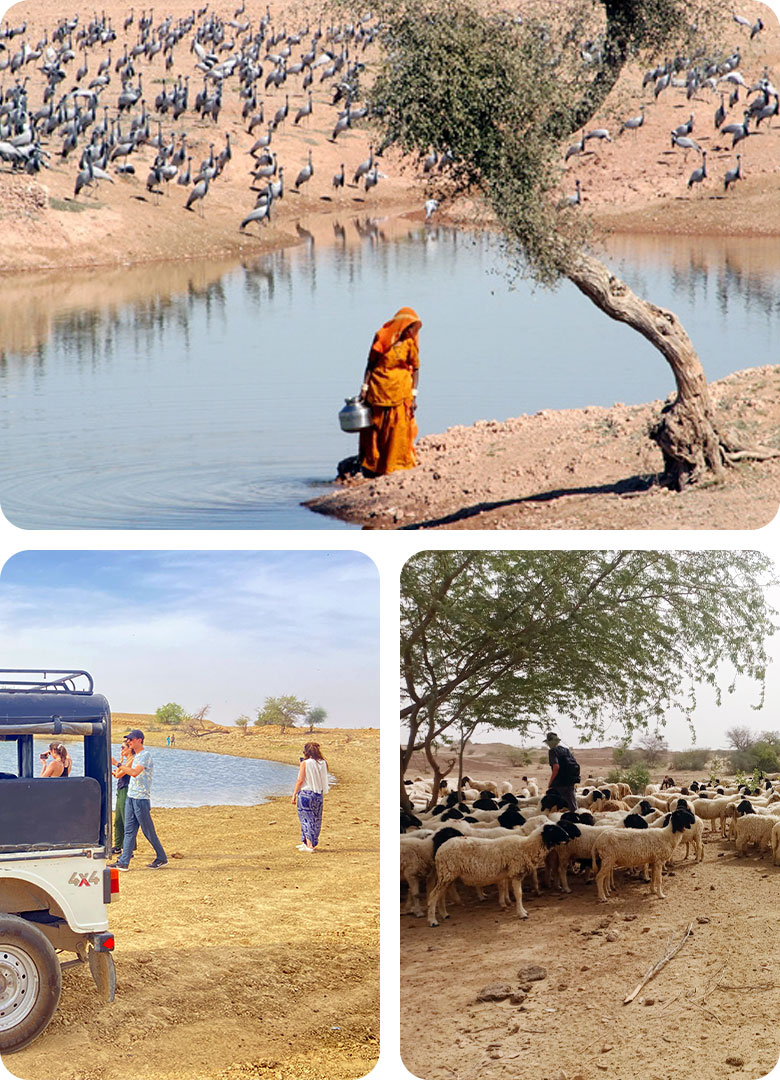 picnic-by-the-oasis-in-jaisalmer-by-trotters