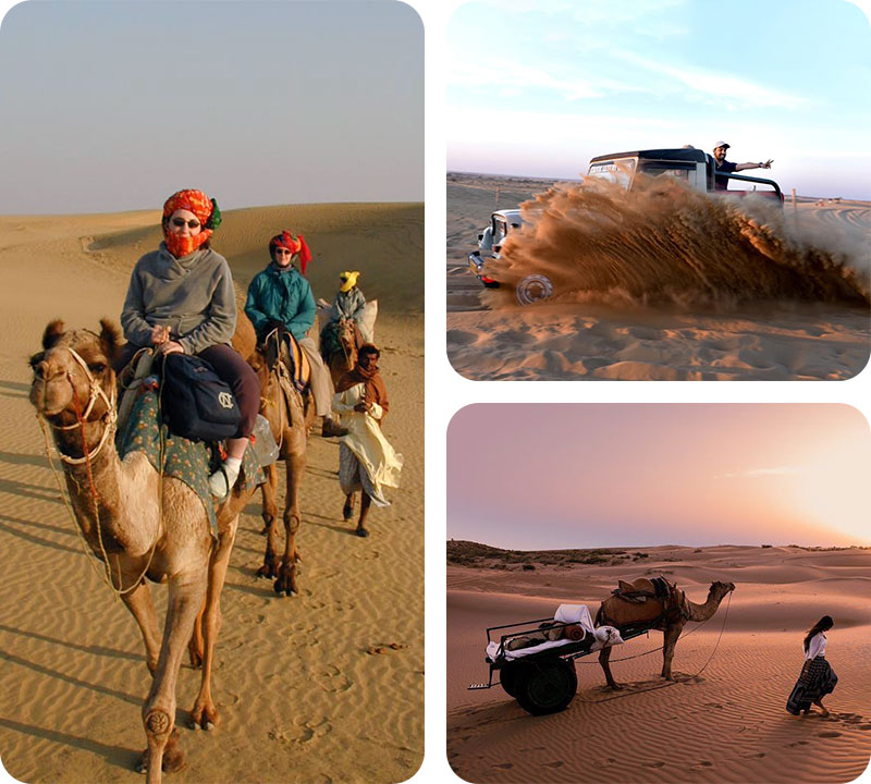 sand-dunes-with-trotters-tours