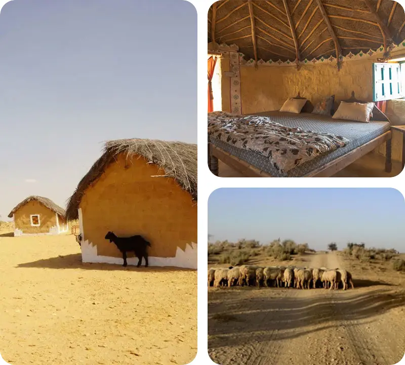 eco-farm-stay-in-jaisalmer-with-trotters