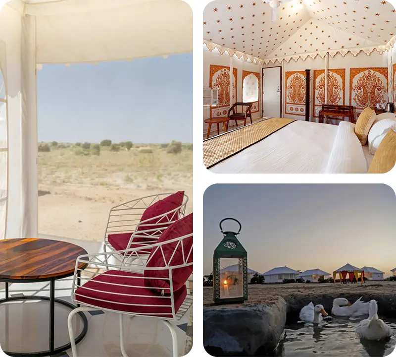 le-exotica-luxury-resort-in-jaisalmer-by-trotters