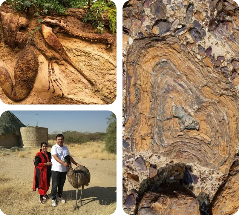 trip-to-akal-wood-fossil-park-jaisalmer-by-trotters